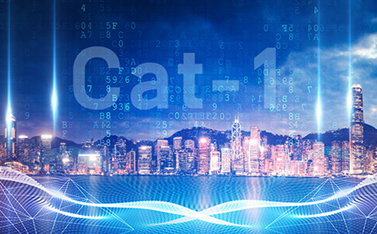 工信部重磅發文，Cat-1/NB-IoT再次站上新風口