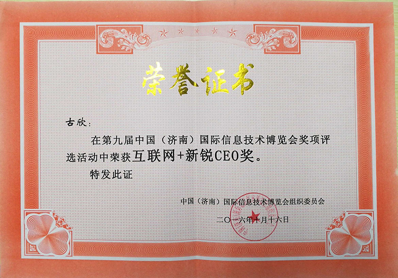互聯網+新銳CEO