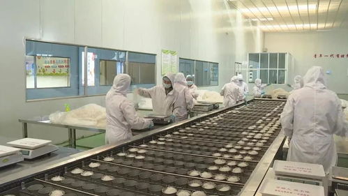 廈大山海情 食品研發(fā)與生產(chǎn)之路