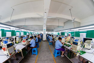 雪峰山下產業新篇 洞口經開區食品產業蓬勃發展紀實