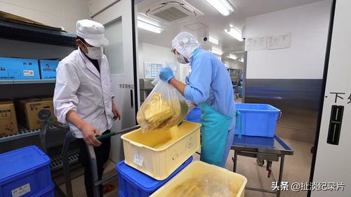 日本學生餐食探秘 食品開發與生產背后的科學與責任