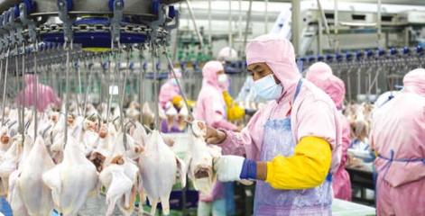 固鎮(zhèn) 錨定“四大戰(zhàn)略”推動高質(zhì)量發(fā)展，食品開發(fā)引領(lǐng)產(chǎn)業(yè)升級