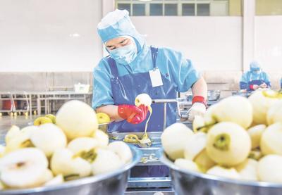 以食品開發(fā)促進(jìn)深加工 推動梨產(chǎn)業(yè)高質(zhì)量發(fā)展
