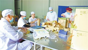 生態(tài)農(nóng)業(yè)前景廣 食品開發(fā)助振興——贛南日報(bào)數(shù)字報(bào)聚焦綠色轉(zhuǎn)型新篇章