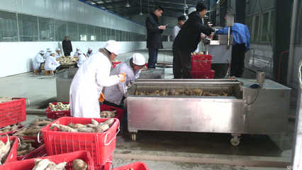 探秘榕江縣盛源天然食品開發(fā) 綠色生態(tài)與特色食品的完美融合